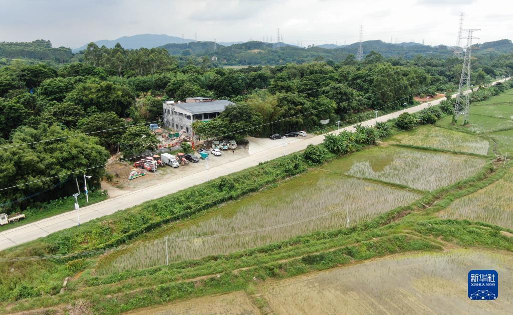 网上现金斗